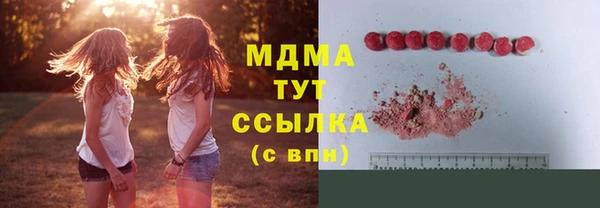 прущие грибы Арсеньев