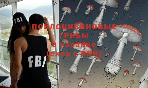прущие грибы Арсеньев