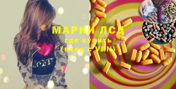 прущие грибы Арсеньев