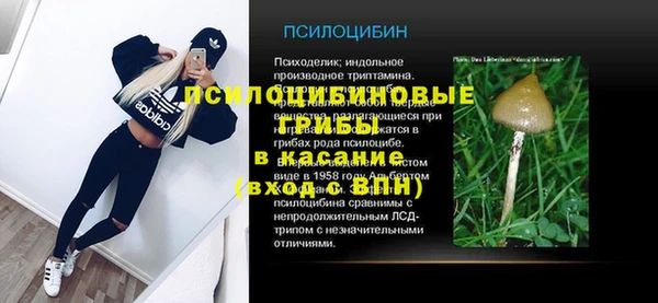 PSILOCYBIN Домодедово